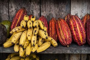 winston-marte-expresa-es-poco-el-apoyo-que-el-gobierno-da-a-los-productores-de-banano-y-cacao