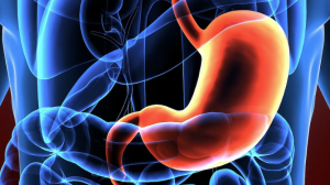 la-inmunoterapia-puede-ser-eficaz-contra-el-cancer-de-estomago,-segun-estudio