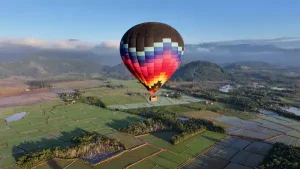 muere-una-mujer-embarazada-tras-caida-de-globo-aerostatico-con-30-personas-a-bordo-en-brasil