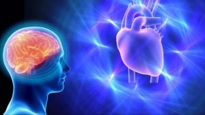 como-la-conexion-cerebro-corazon-transforma-nuestra-salud