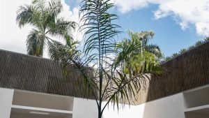 critica-mexicana-cuestiona-premio-de-escultura-en-bienal-de-artes-visuales