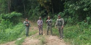 senpa-asume-supervision-de-loma-miranda-tras-denuncias-de-tala-de-arboles