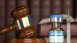 iglesia-catolica-mexicana-critica-propuesta-para-legalizar-y-despenalizar-la-eutanasia