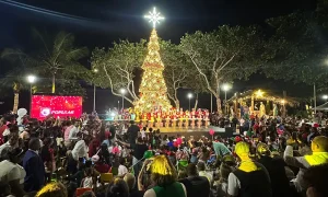 adn-enciende-el-arbol-de-navidad-en-la-plaza-santo-domingo