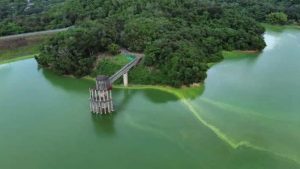 medio-ambiente-investiga-causa-del-color-verde-en-la-presa-de-hatillo