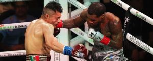 “el-pitbull”-vs-roach,-un-peleon…