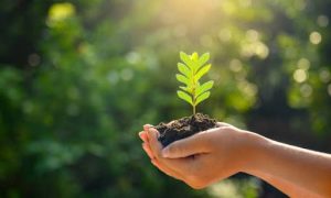 onu:-invertir-en-medioambiente-puede-evitar-millones-de-muertes