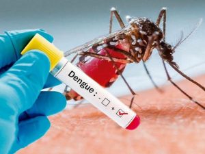 cuba-eleva-a-47-las-muertes-por-la-epidemia-de-dengue-y-chikunguna