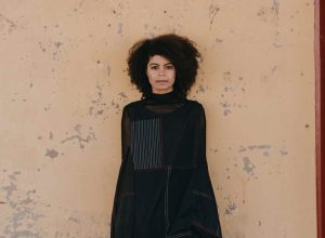 yina-jimenez-suriel-es-designada-directora-artistica-de-la-bienal-sequences-en-islandia