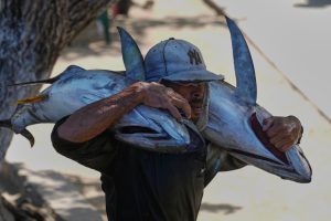 amenaza-petrolera-provoca-ansiedad,-pero-venezuela-mantiene-su-ritmo-cotidiano