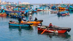 ecosistemas-marinos-en-riesgo:-el-impacto-de-‘el-nino’-y-‘la-nina’