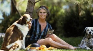 millonario-patrimonio-de-brigitte-bardot-genera-disputa-legal