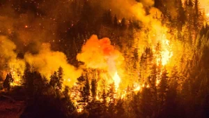 incendios-forestales-en-la-patagonia-superan-las-4,000-hectareas-y-afectan-parques-nacionales