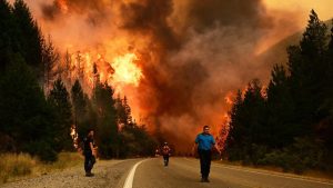 ambientalistas-atribuyen-«ecocidio»-en-patagonia-a-falta-de-fondos-para-combatir-incendios
