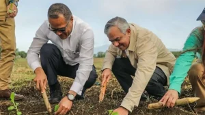 Intabaco y la Universidad ISA impulsan la formación académica en el cultivo de tabaco