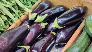descubren-que-semillas-de-berenjena-podrian-ayudar-en-el-tratamiento-del-cancer-de-colon