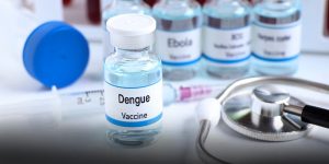 brasil-lanza-un-plan-piloto-de-inmunizacion-contra-el-dengue-con-una-vacuna-nacional