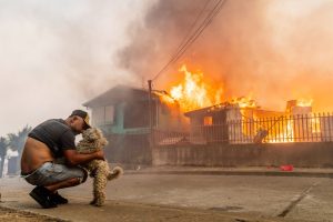 emergencia-en-chile:-al-memos-15-muertos-por-devastadores-incendios-forestales