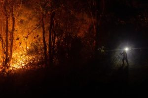 estos-son-los-factores-que-explican-la-rapida-propagacion-de-los-incendios-forestales-en-chile