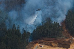 boric-entrega-de-viviendas-de-emergencia-tras-devastadores-incendios-forestales-en-chile
