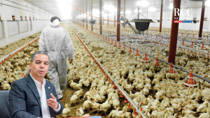 productores-atribuyen-alzas-del-pollo-a-escasez-puntual-y-mayor-mortalidad-en-granjas