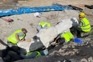obras-en-dinosaur-national-monument-revelan-nuevos-fosiles-por-primera-vez-en-mas-de-un-siglo