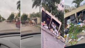 Residente denuncia cúmulo de basura y animales sueltos en residencial de Santo Domingo Norte