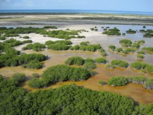  Rechazan sentencia del TSA que ordena la reducción del Parque Nacional Jaragua