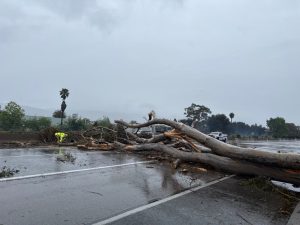 Tormenta invernal azota California: fuertes lluvias y nevadas impresionantes