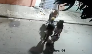 momento-en-que-varias-mujeres-arrojan-basura-a-la-calle-y-huyen-del-lugar