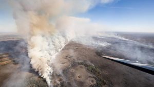 Incendio en los Everglades supera las 10,400 hectáreas y amenaza viviendas en Florida