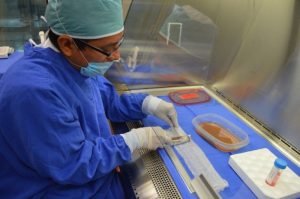 Impulsan activación del banco de piel en el Hospital Arturo Grullón