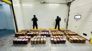 dncd-incauta-700-paquetes-de-cocaina-en-contenedor-de-uvas-en-el-puerto-caucedo