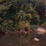 El guanillo: planta usada como papel en el Antiguo Egipto que también crece en suelo dominicano