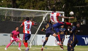 Delfines gana y clasifica, Moca y Cibao empatan