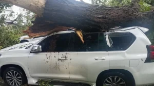 coe-emite-alerta-roja-para-puerto-plata-y-mantiene-a-gran-parte-del-pais-bajo-vigilancia