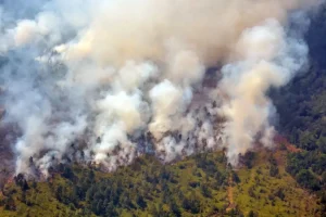 Un incendio aún activo ha quemado más de 400 hectáreas de bosque al oeste de Cuba