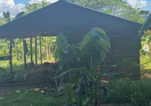 Policía rescata adolescente raptada y captura presunto responsable en Bonao