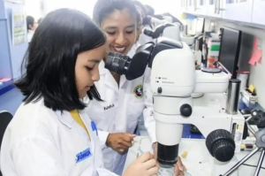 Niñas y mujeres en tecnología: el reto de construir trayectorias sostenibles en Perú