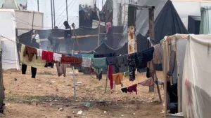 OMS alerta: 80% de refugios en Gaza están infestados de plagas