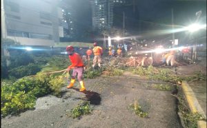 Evacuaciones de emergencia: La Defensa Civil activa plan ante efectos de vaguada