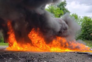 Inacif dice destruyó más de 13 toneladas de drogas en primer cuatrimestre del año