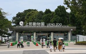 investigan-a-un-hombre-por-presuntamente-incinerar-el-cadaver-de-su-mujer-en-un-zoologico-en-japon