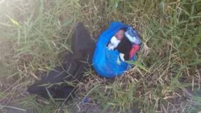 hallan-recien-nacida-abandonada-dentro-de-una-funda-en-carretera-jarabacoa–constanza