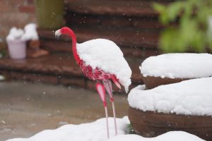 tormenta-de-nieve-tardia-azota-colorado,-cierra-escuelas-y-afecta-a-viajeros