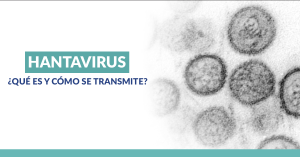 ¿que-es-el-hantavirus-y-como-se-contagia?-la-peligrosa-enfermedad-que-mantiene-en-alerta-mundial
