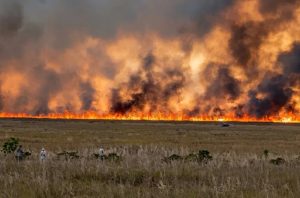 fuego-forestal-en-miami-preocupa-a-residentes-por-intensa-humareda