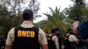 dncd-arresta-presunto-microtraficante-con-drogas-y-arma-en-bavaro