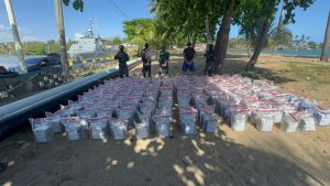 DNCD ha incautado 241.1 toneladas de droga en los últimos seis años