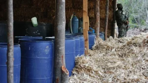 Incautan más de 54 mil litros de sustancias químicas para fabricar narcóticos